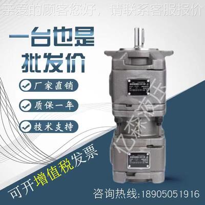 海特克HYTEK内啮合HG11-25-8-01R-LPC-D-36齿轮泵双联泵伺服油泵