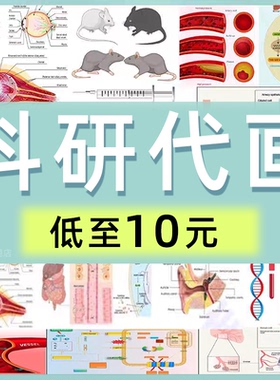 科研绘图制作代画ppt封面sci期刊医学3d美化模型图示意图摘要生物