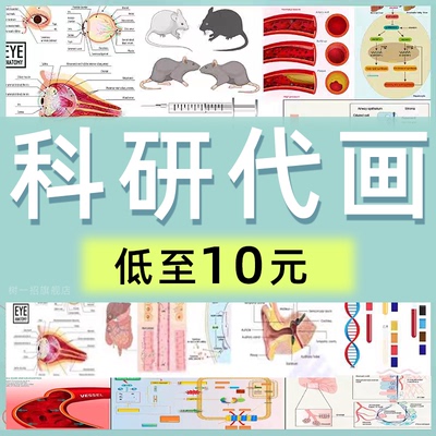 科研绘图制作代画ppt封面sci期刊医学3d美化模型图示意图摘要生物