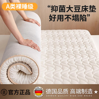 德国泡泡棉家用床垫专用榻榻米垫