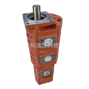 厂家直供吊车齿轮泵1010000238 吊车工作泵