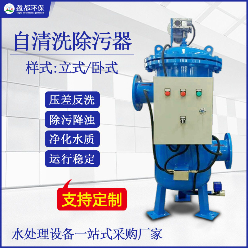 自清洗过滤器大流量全自动刷式过滤器工业净水立式自清洗除污器