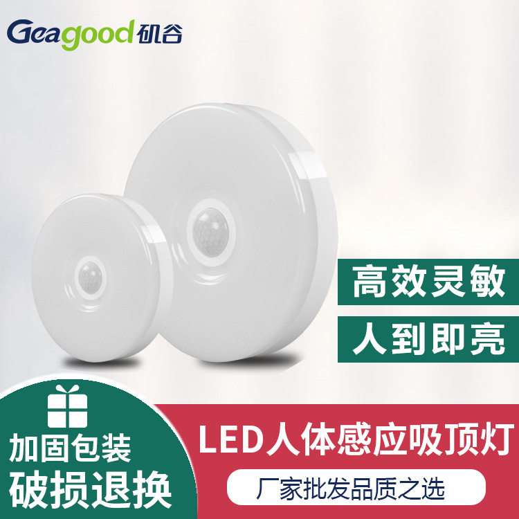 跨境-厂家现货直销-现代简约LED人体感应吸顶灯-客厅过道感应灯具
