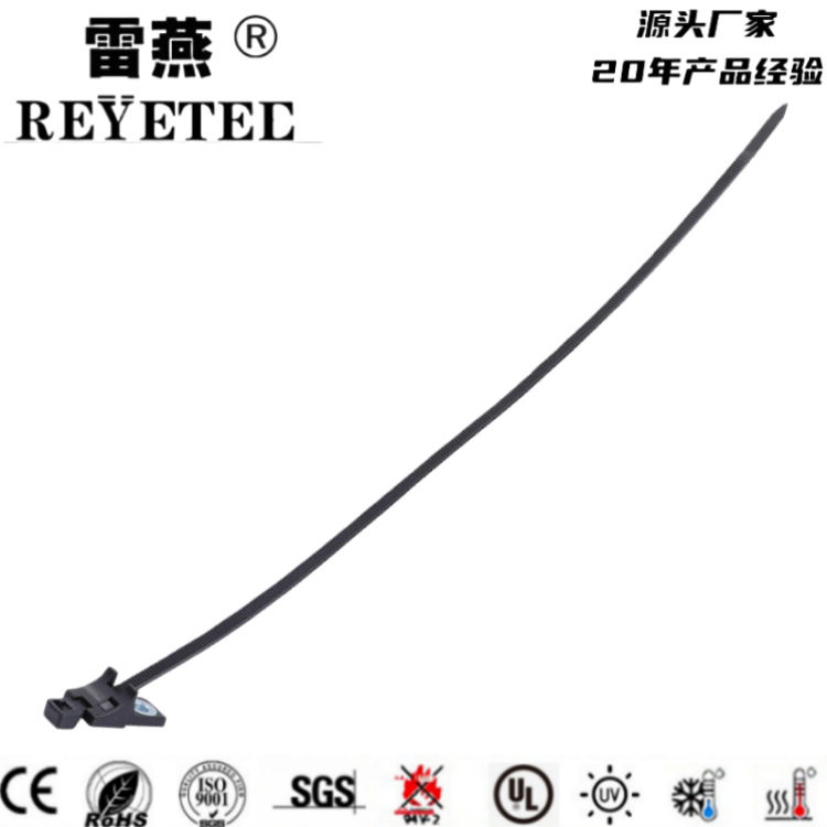 汽车螺丝固定扎带T120RCPCM8