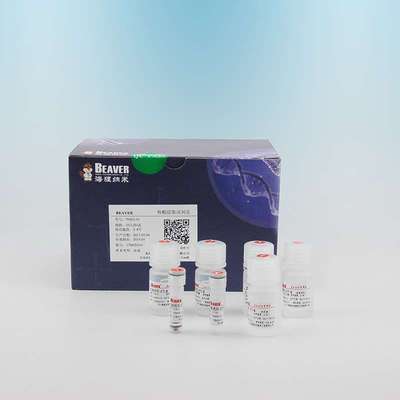 22307-10海狸链霉亲和素磁珠(1μm) 10 mL, 10 mg/mL
