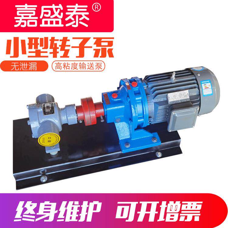 小型高粘度转子泵胶水环氧树脂自吸泵内啮合油漆涂料转子泵