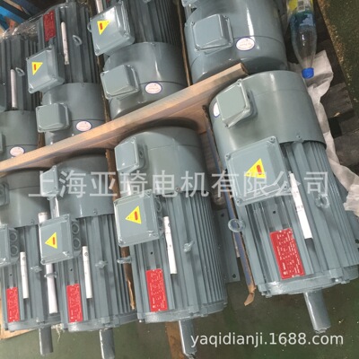 IFGEJ-50-0.25-2刹车电机  Motor