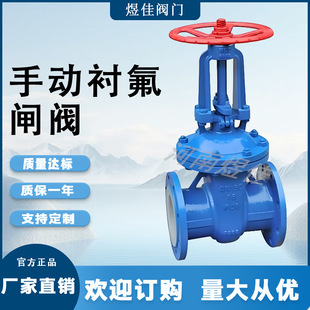厂家供应Z41F68闸阀软密封衬氟闸阀手动截止型闸阀