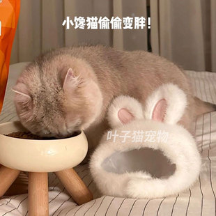 宠物兔子头套猫咪狗狗网红兔兔帽可装扮兔耳朵帽子拍照饰品