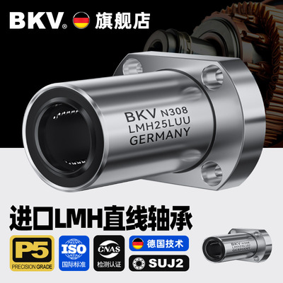 进口双切边椭圆法兰直线轴承LM20