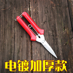桔子葡萄剪枝剪刀修枝摘水果采果蔬果修花摘果器家用果树工具神器