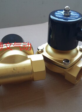 2W500-50铜电磁阀2寸常闭水阀 气阀 220V 24V DN50