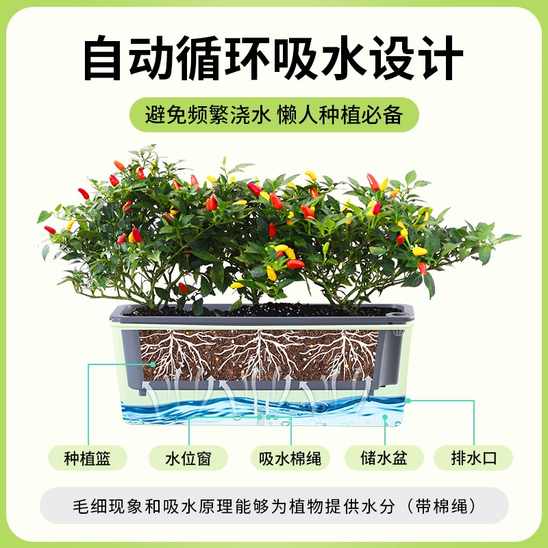 家庭阳台窄边种菜专用箱长方形窗台种植盆吸水花盆盆栽懒人种菜盆