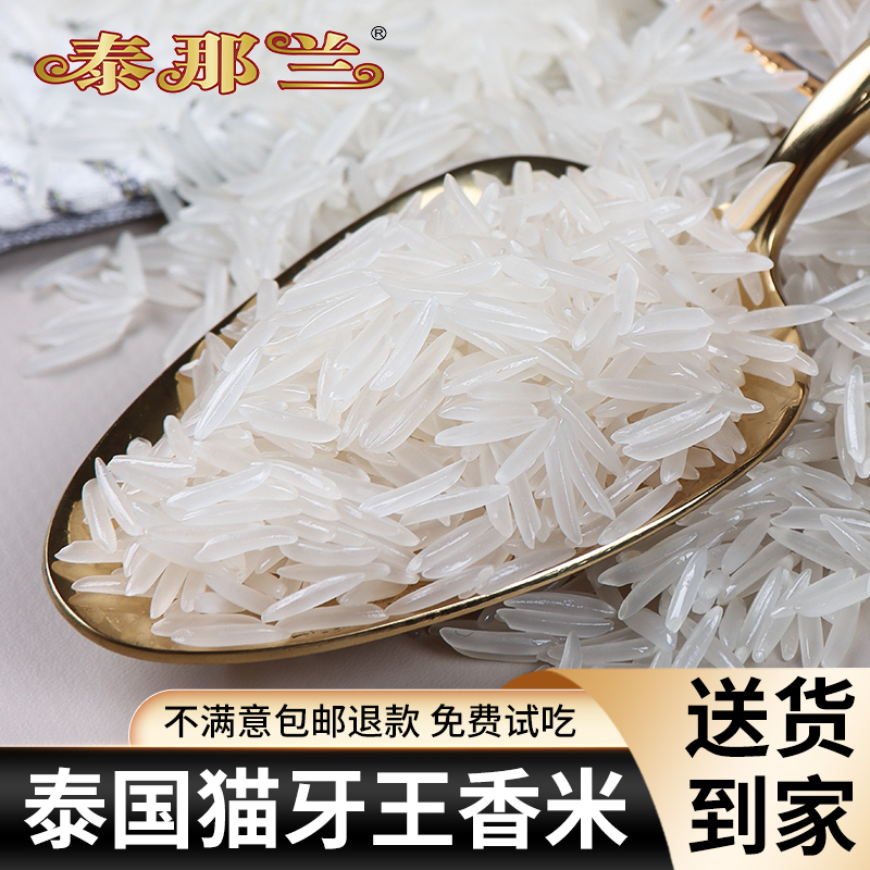 ۻ㣺̩ հװ һʮ ԭڡ108.5mm ̩è׳׹ٷ콢93Ԫ