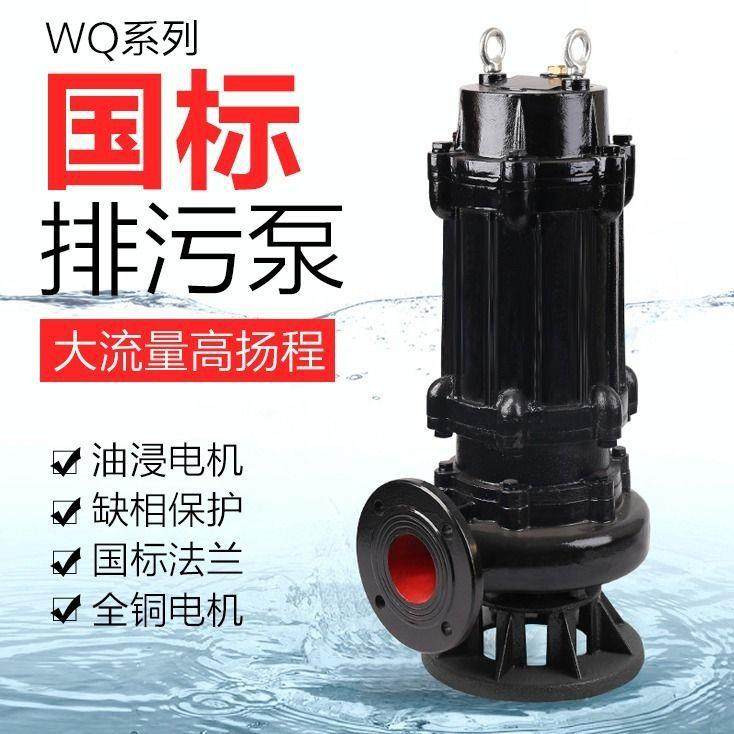 220水V污水泵38DDS0V小型家化粪池排用污潜水泵抽高扬工程抽粪水