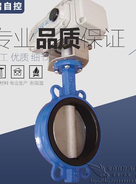 电动对夹式脱硫蝶阀 TLD971X3-v10/16CB8 1.4529脱硫板 DN40-300