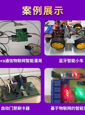 51单晶片设计定做stm32硬件PCB程序实物开发仿真物联网电子代做