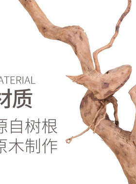 REPTIZOO爬宠箱造景爬虫蜥蜴睫角守宫树栖变色龙陆龟树根饲养箱