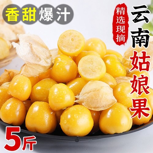 姑娘果头茬新鲜水果灯笼果整箱5斤包邮当季黄菇娘薄皮甜菇娘云南