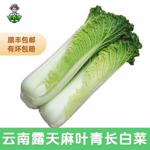 云南高山香甜软糯麻叶青大白菜