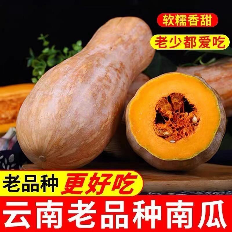 【顺丰可选】云南本地农村奶油新鲜农家老南瓜批发非奶油贝贝板栗