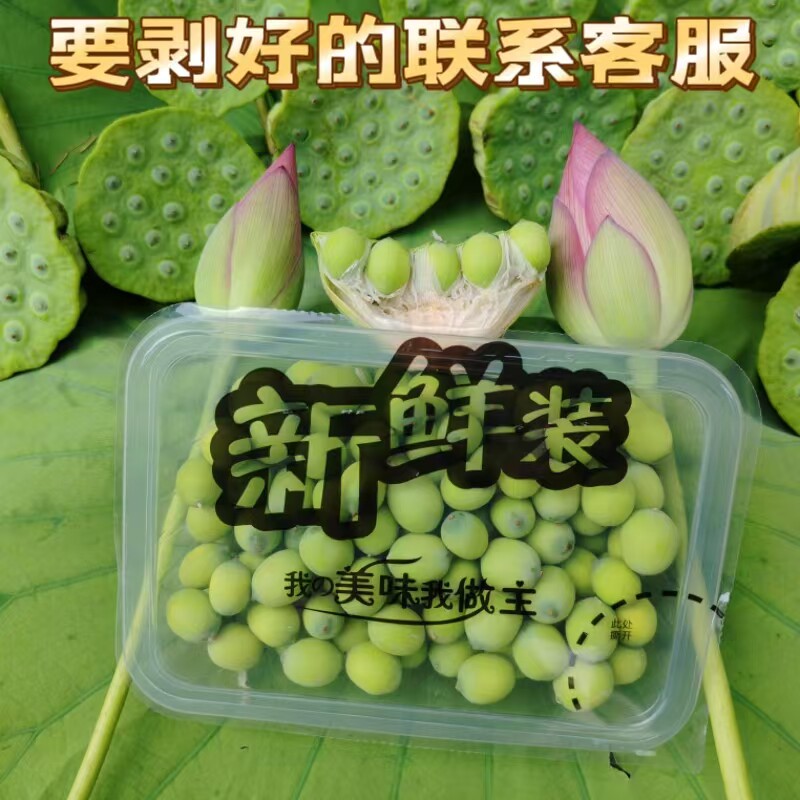 新鲜莲蓬现摘水果莲子生吃即食应季蔬菜农家自产