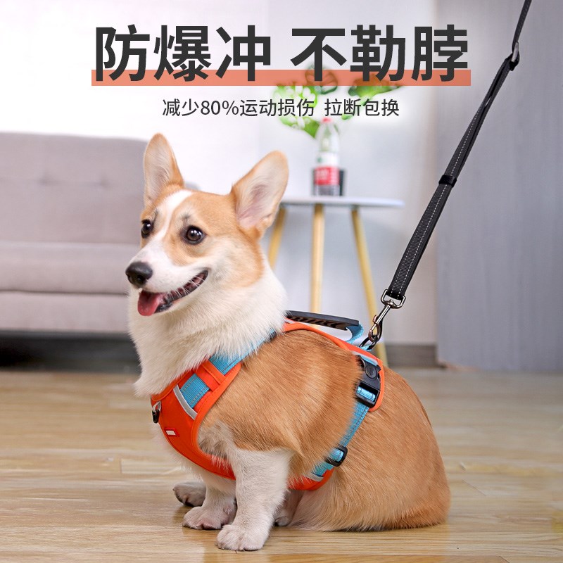 狗狗牵引绳遛狗绳背心式中小型犬柯基雪纳瑞狗链子金毛大狗牵引绳