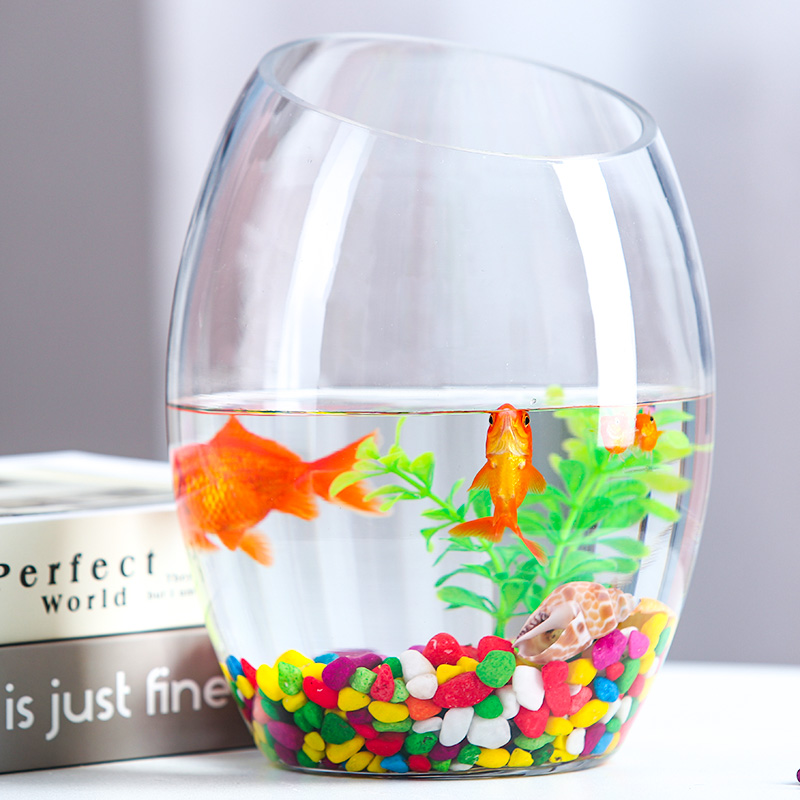 客厅创意小型鱼缸迷你乌龟缸玻璃鱼缸圆形家用金鱼缸办公桌面摆件