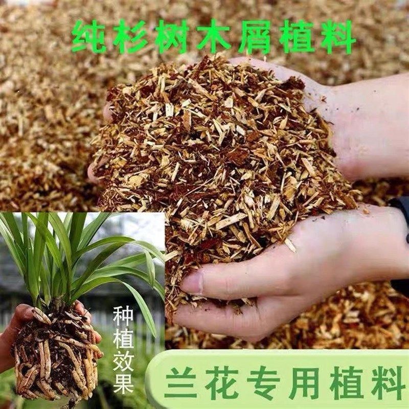 纯杉木屑国兰建兰惠兰墨兰专用土兰花专用营养土疏松透气保湿植料