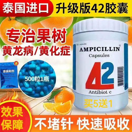 泰国42胶囊果树黄龙病专用药柑橘黄化症脐橙红黑胶囊营养液专用药