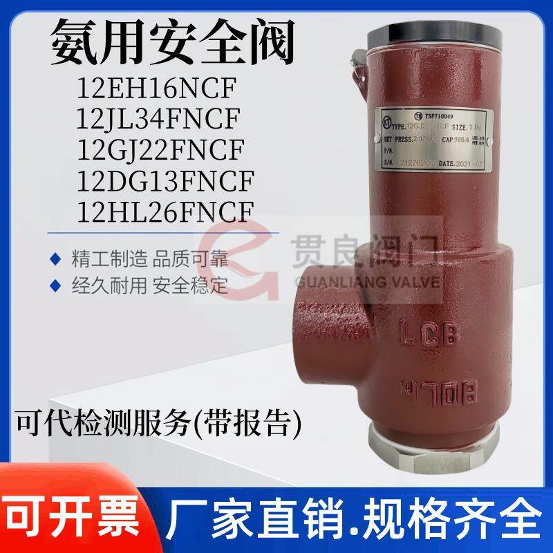 工业冷冻安全阀12DG13FNCF蒸发器冷凝器CSA-12C300CDN151/2