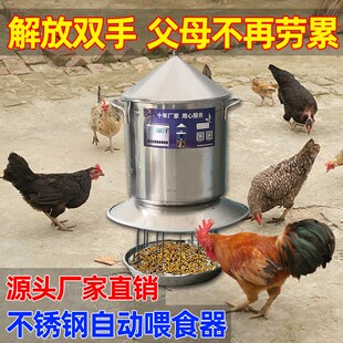 养鸡自动喂食器鸡鸭鹅鸽子定时自动投料机家用喂鸡神器自动下料器