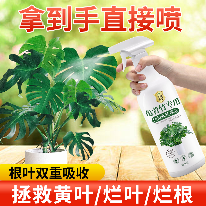 龟背芋营养液免稀释喷施叶面肥水培龟背芋专用肥锈斑病黄叶液体肥