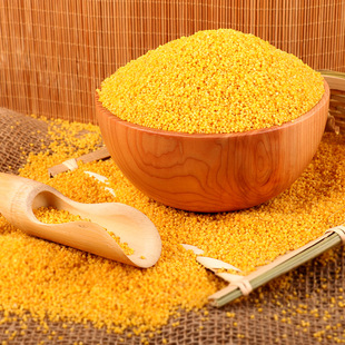 天地粮人精品黄小米2.5kg 量版装小米 熬粥米煮饭月子粥粗粮杂粮