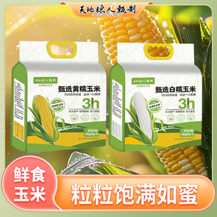 【当季新玉米】天地粮人黄糯白糯玉米软糯香甜中秋送礼健身代餐