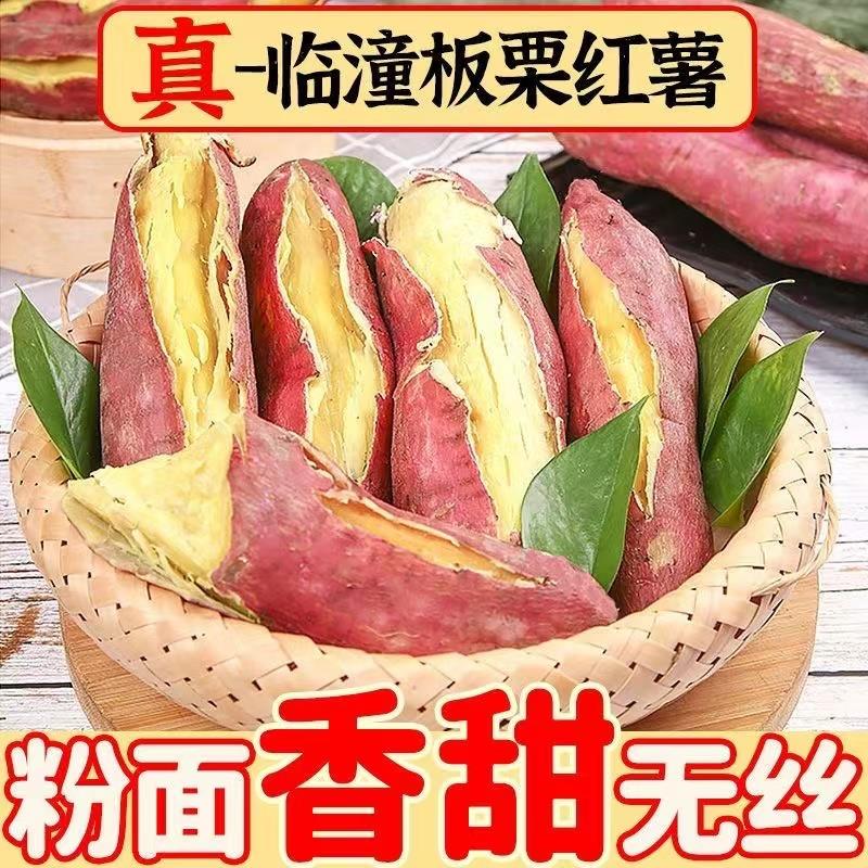 正宗陜西板栗红薯沙地蜜薯地瓜山芋头新鲜番薯甜粉糯软糯包邮