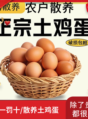 苏北正宗农家散养土鸡蛋新鲜鸡蛋农村谷物喂养笨鸡蛋营养草鸡蛋