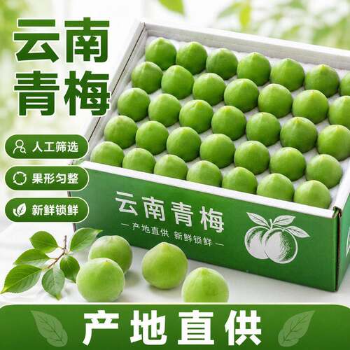 云南青梅新鲜青梅果泡酒胭脂梅高山现摘现发牛油果水果