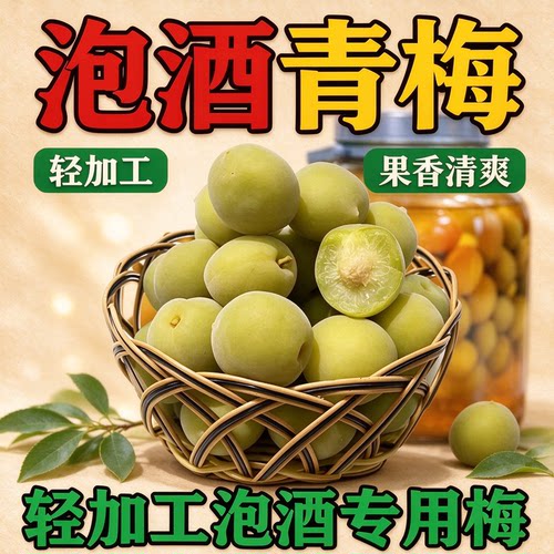 轻加工青梅鲜果泡酒半成品生梅子冰糖腌制软果专用野生自酿青竹梅
