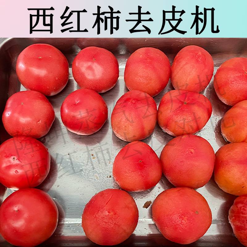 支持定制 全自动西红柿蒸汽去皮机 番茄农产品加工生产线去皮设备