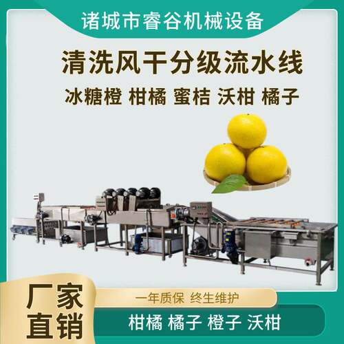 商用滚杠式沃青皮橙洗风干分选 果蔬水洗风干机械 青皮橙分级设备