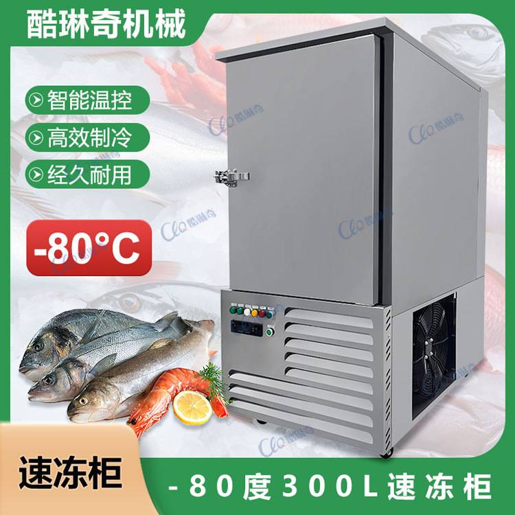 急速冷冻薯条饭团速冻机食品迅速锁鲜持久保鲜快速冷冻工业速冻柜