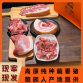卓玛阳光藏香猪优惠套餐 正宗新鲜藏香猪肉 散养土猪肉藏族人直供