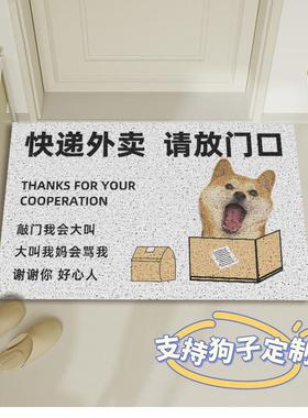 快递外送请放门口地毯狗狗丝圈入户门地垫进门前门外蹭土免洗脚垫