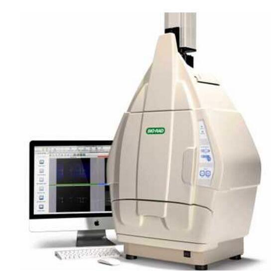 美国伯乐BIO-RAD Gel Doc XR+ 凝胶成像系统