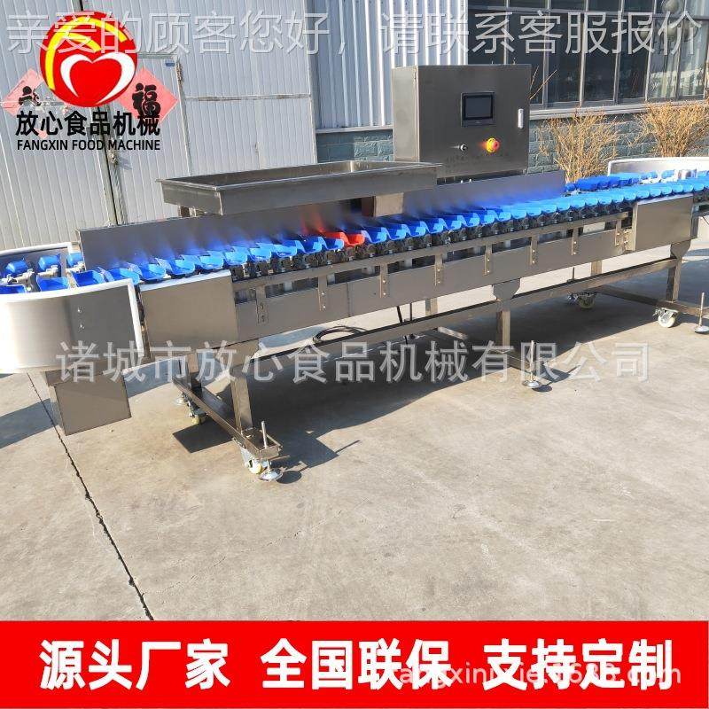 海蛎子分选称重机 牡蛎白条鸡分选机 分选秤 自动重量分拣机,清洗/食品/商业设备,其他食品加工设备,淘宝优惠券,粉丝福利购,淘宝优惠卷