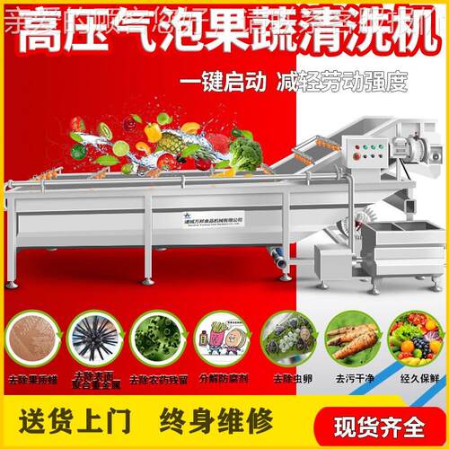 厂家供应鹌鹑蛋洗 机蔬菜JVP气泡清洗 不锈钢芸豆清清线洗线