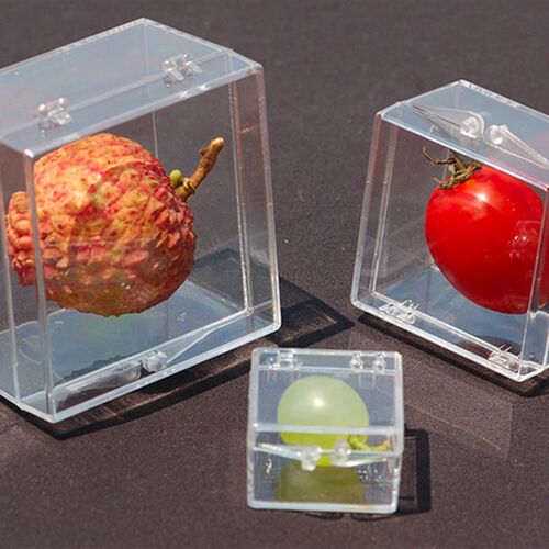 透明PC塑料盒子收纳盒正方形标本展示收藏盒整理盒加厚有盖中小号