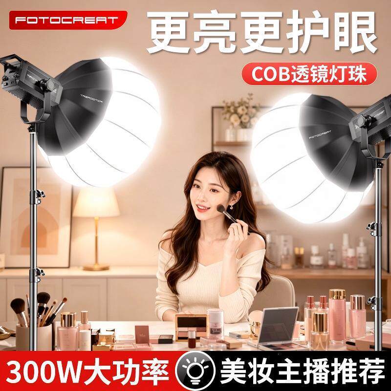 球形补光灯300w专业级直
