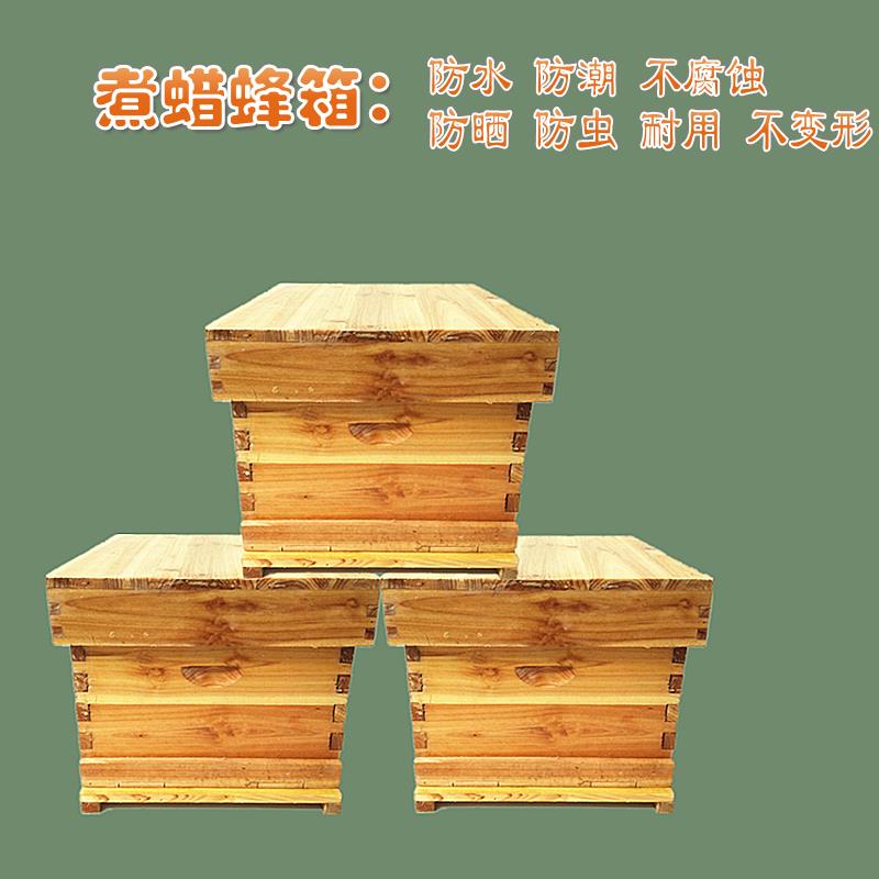中蜂蜂箱套餐新手工具全